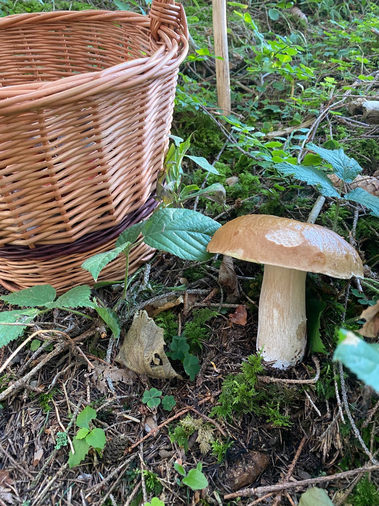 Exterior and garden — IMG_0761-rotated