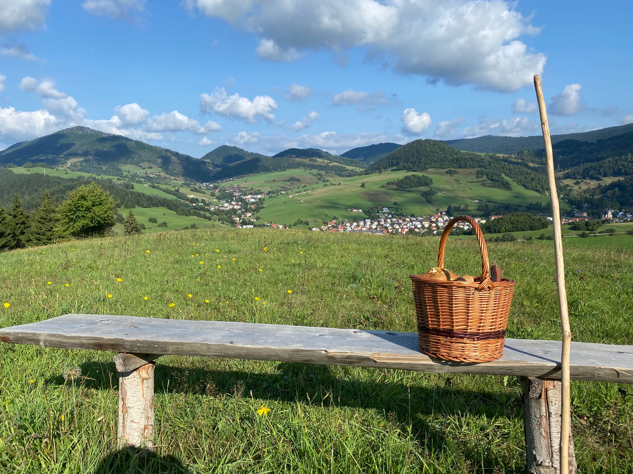 Exterior and garden — IMG_0762