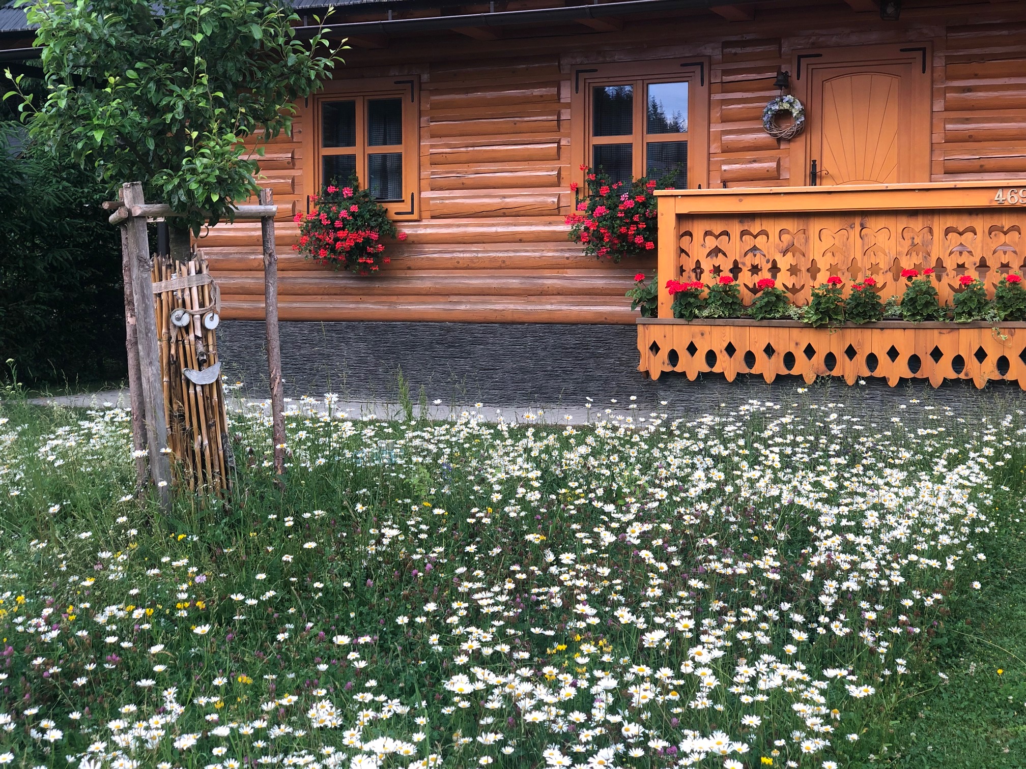 Exterior and garden — IMG_3562