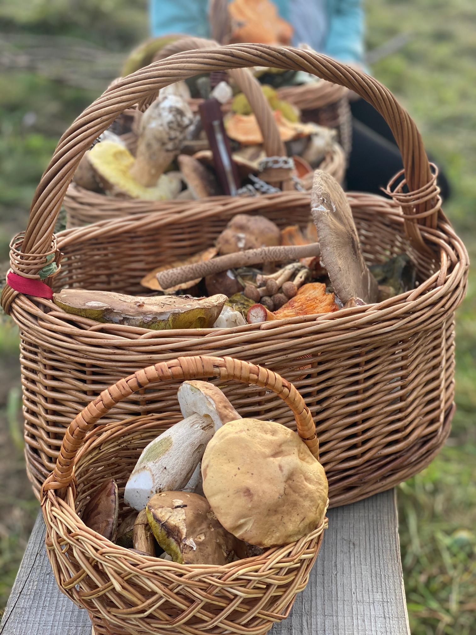 Exterior and garden — IMG_7980