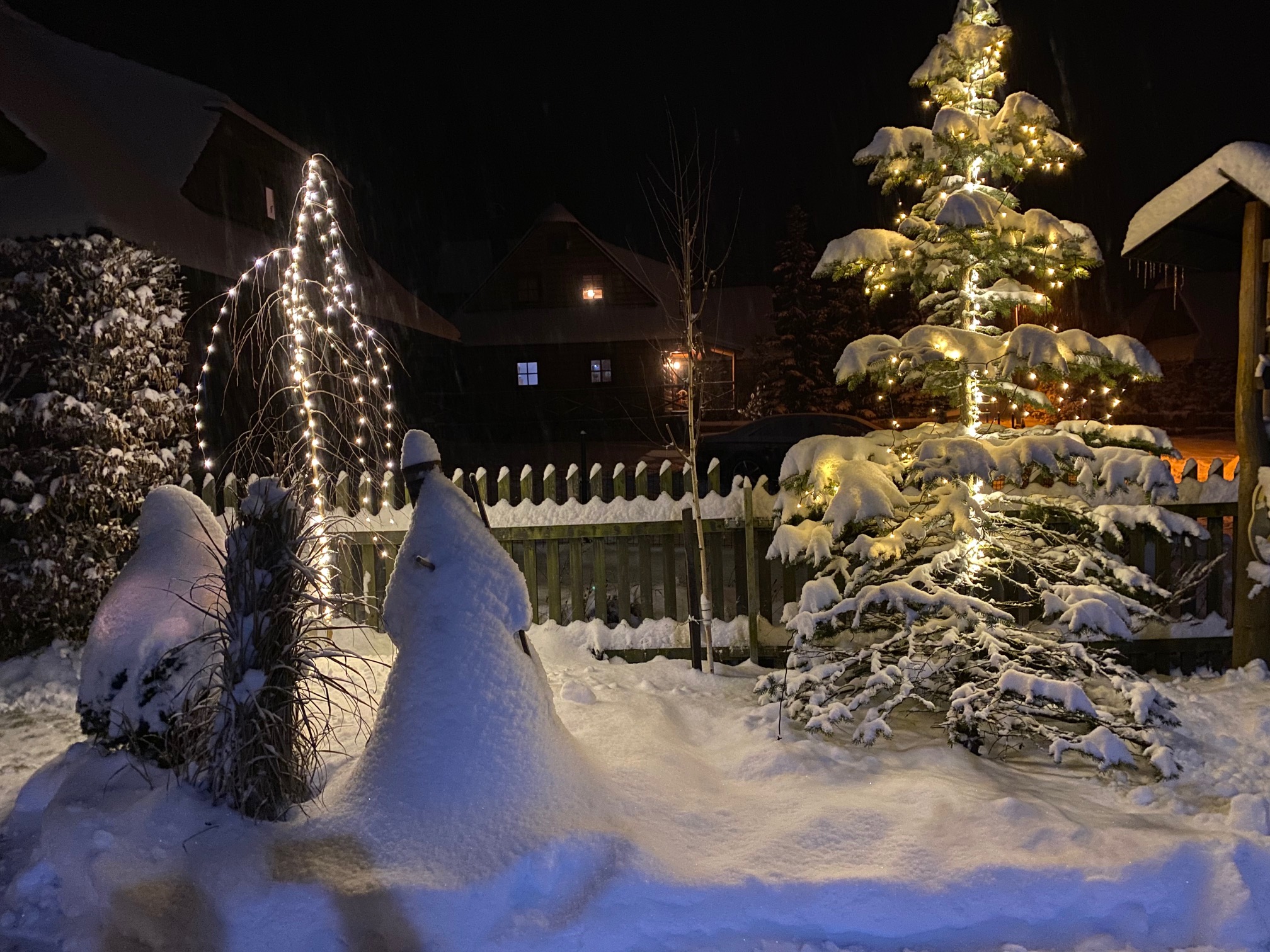 Exterior and garden — IMG_8630