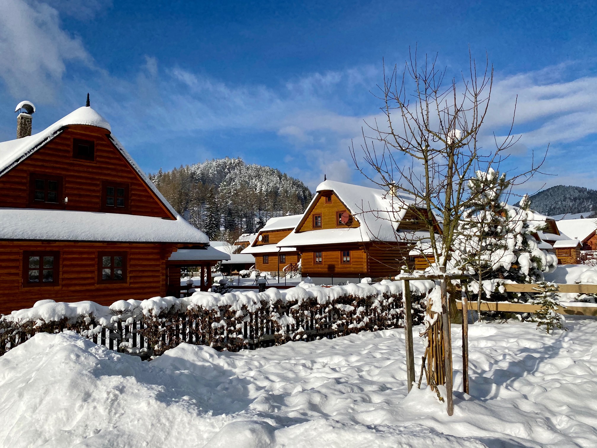 Exterior and garden — IMG_8655