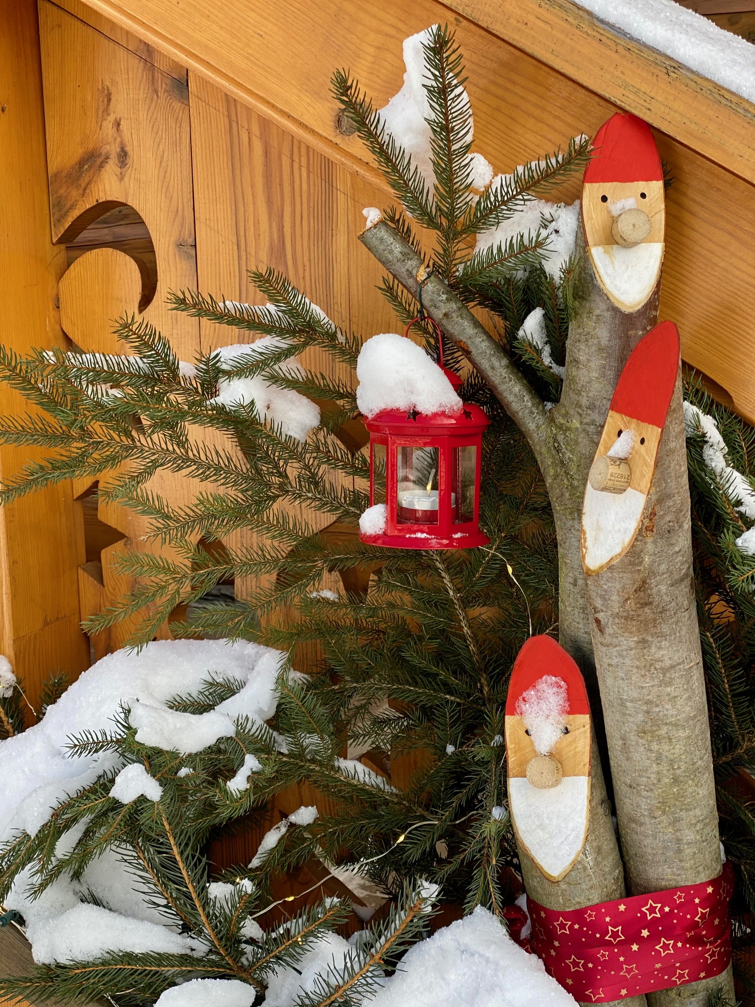 Exterior and garden — IMG_8659