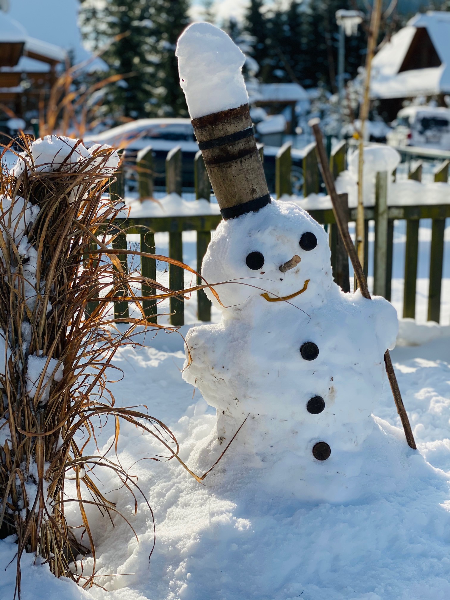 Exterior and garden — IMG_8661