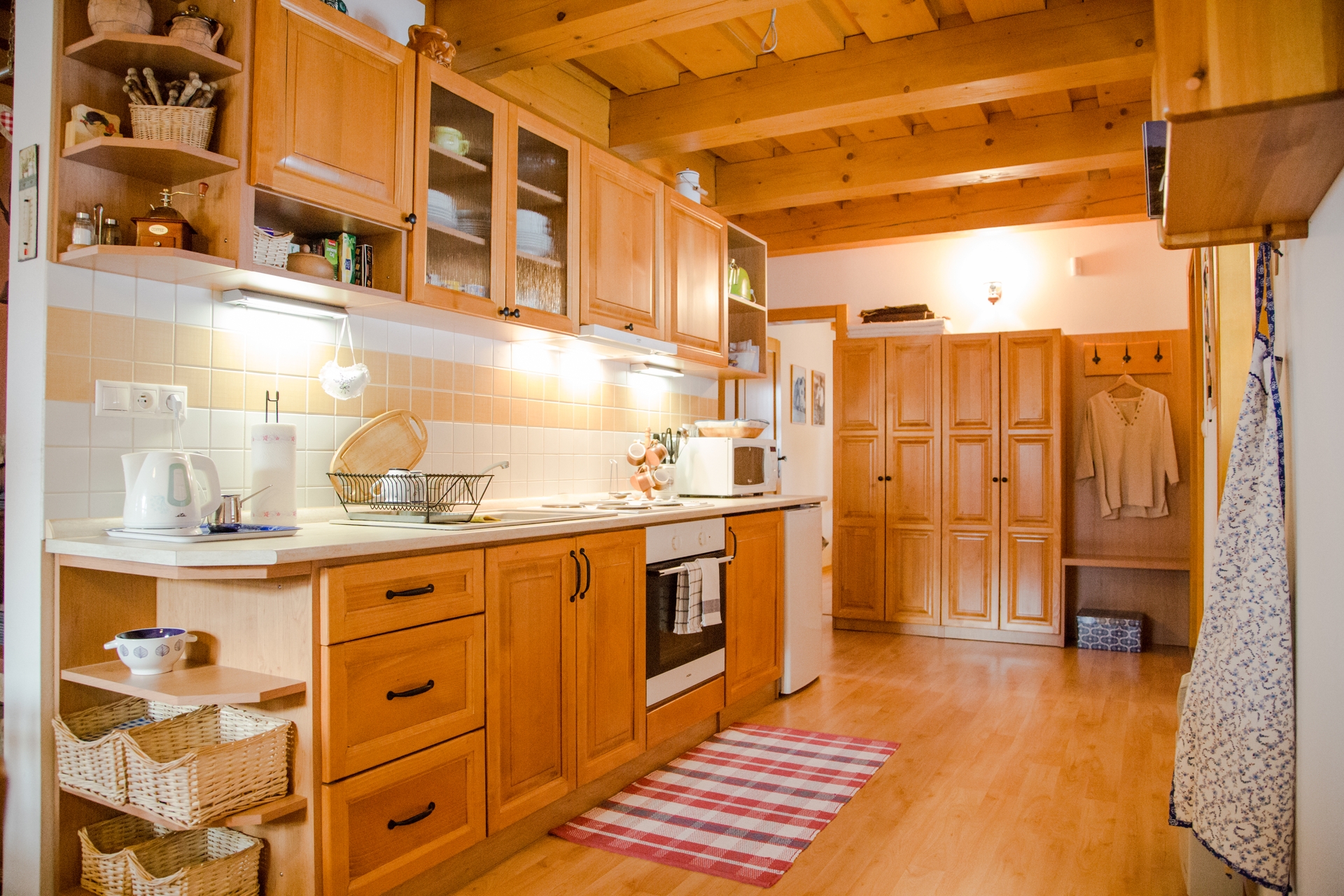 Lower apartment — Kitchen-downstairs-1